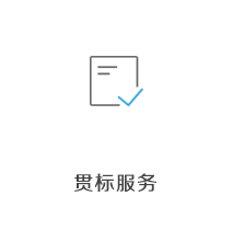 贯标服务